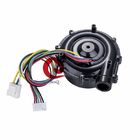 Inversion Positive 12VDC Fushless Blower Fan PG Signal Feedback CPAP Motor Machine